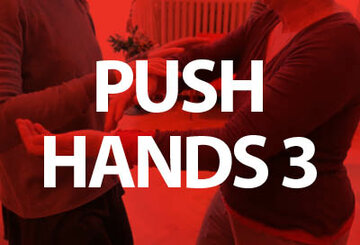 Push Hands 3