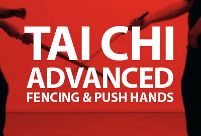 Tai Chi Advanced (Fencing en Push Hands)