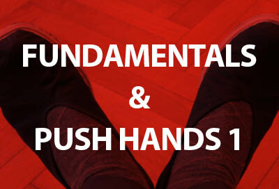 Fundamentals &amp; Push Hands 1